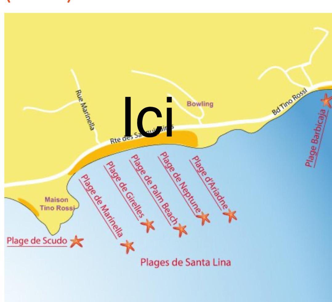 Superbe Pieds Dans L Eau Ajaccio Face A La Mer Plage De Sable Fin Route Des Iles Des Sanguinaires Exterior foto